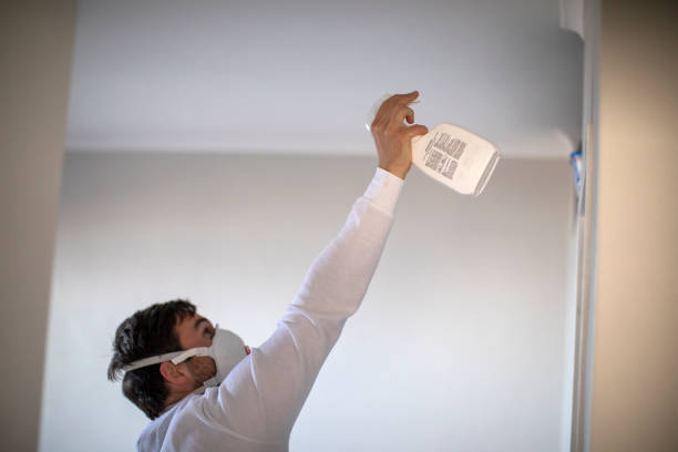 Best Professional Mold Removal  in Salyersville, KY